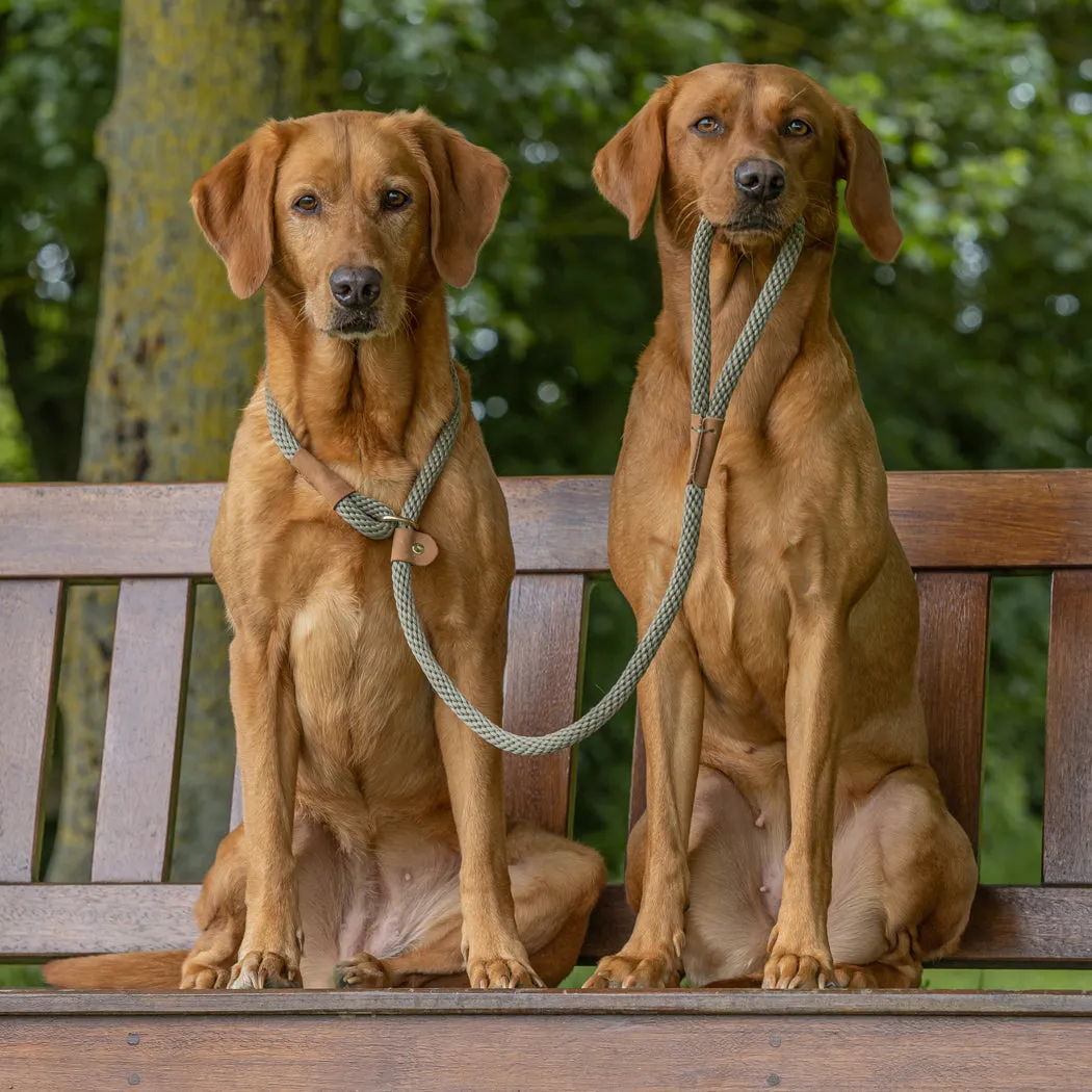 Dog Leads - Brick Red